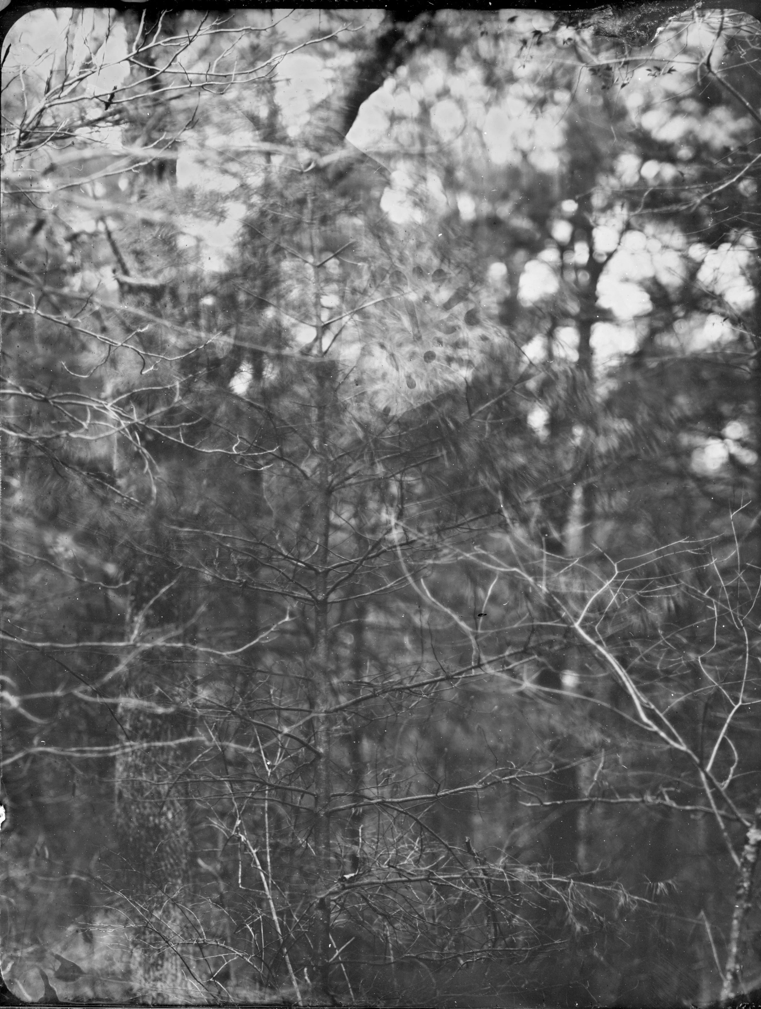 2026-04-08-4x5-Tintype- 11-Edit-eras-sized.jpg