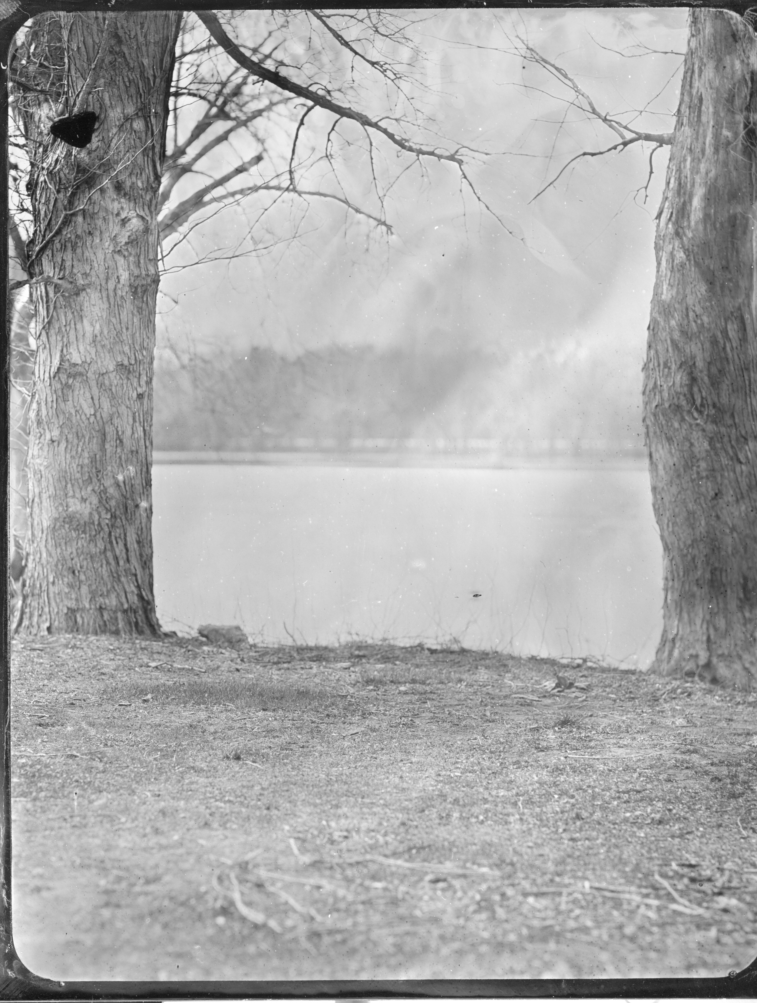 2026-04-08-4x5-Tintype- 7-Edit-eras-sized.jpg