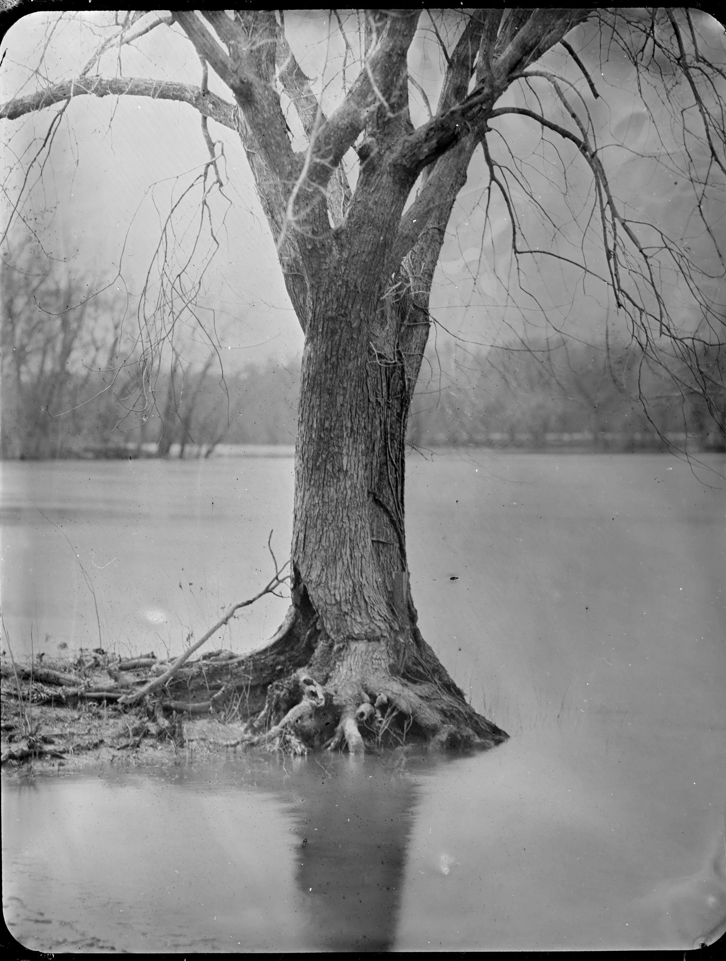 2026-04-08-4x5-Tintype- 2-eras-sized.jpg