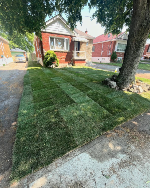 A front yard with freshly cut and patterned green grass, a large tree on the right, and a brick house with steps and a small porch.