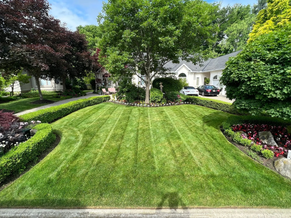 Well-maintained front yard with trimmed green lawn, surrounded by bushes, trees, and flower beds in a suburban neighborhood with houses and parked cars in the background.
