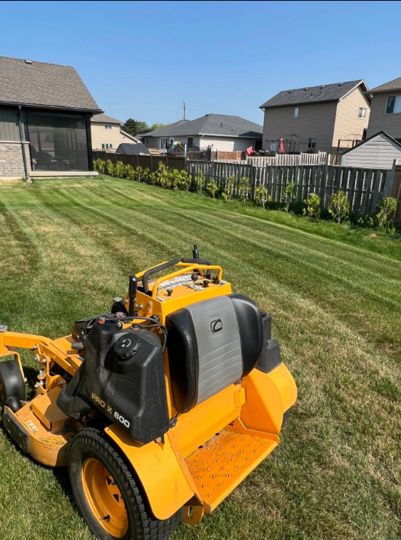 A yellow lawn mower parked on a freshly mowed backyard lawn with neighboring houses and a wooden fence in the background.