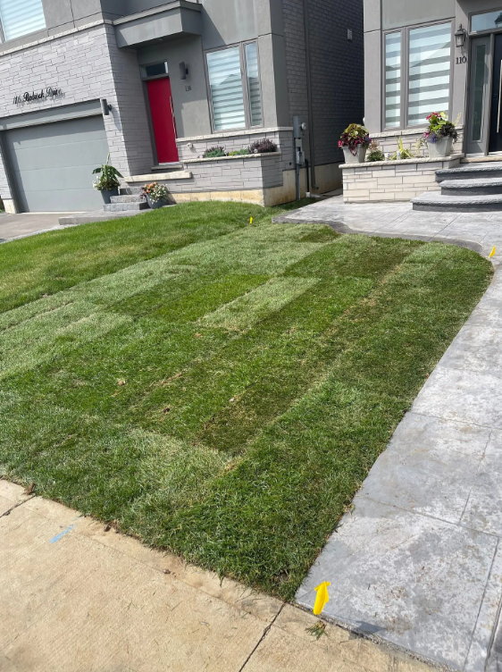 Lawn being freshly mowed in front of a modern house with gray and brick siding, rocker stairs, potted plants, and a sidewalk.