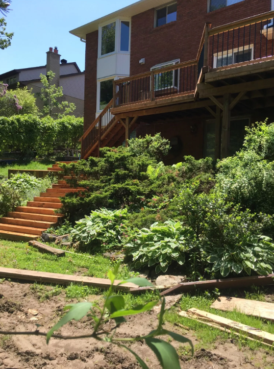 Backyard garden with new wooden stairs leading up to a deck attached to a brick house, surrounded by green bushes and plants, with a clear blue sky.