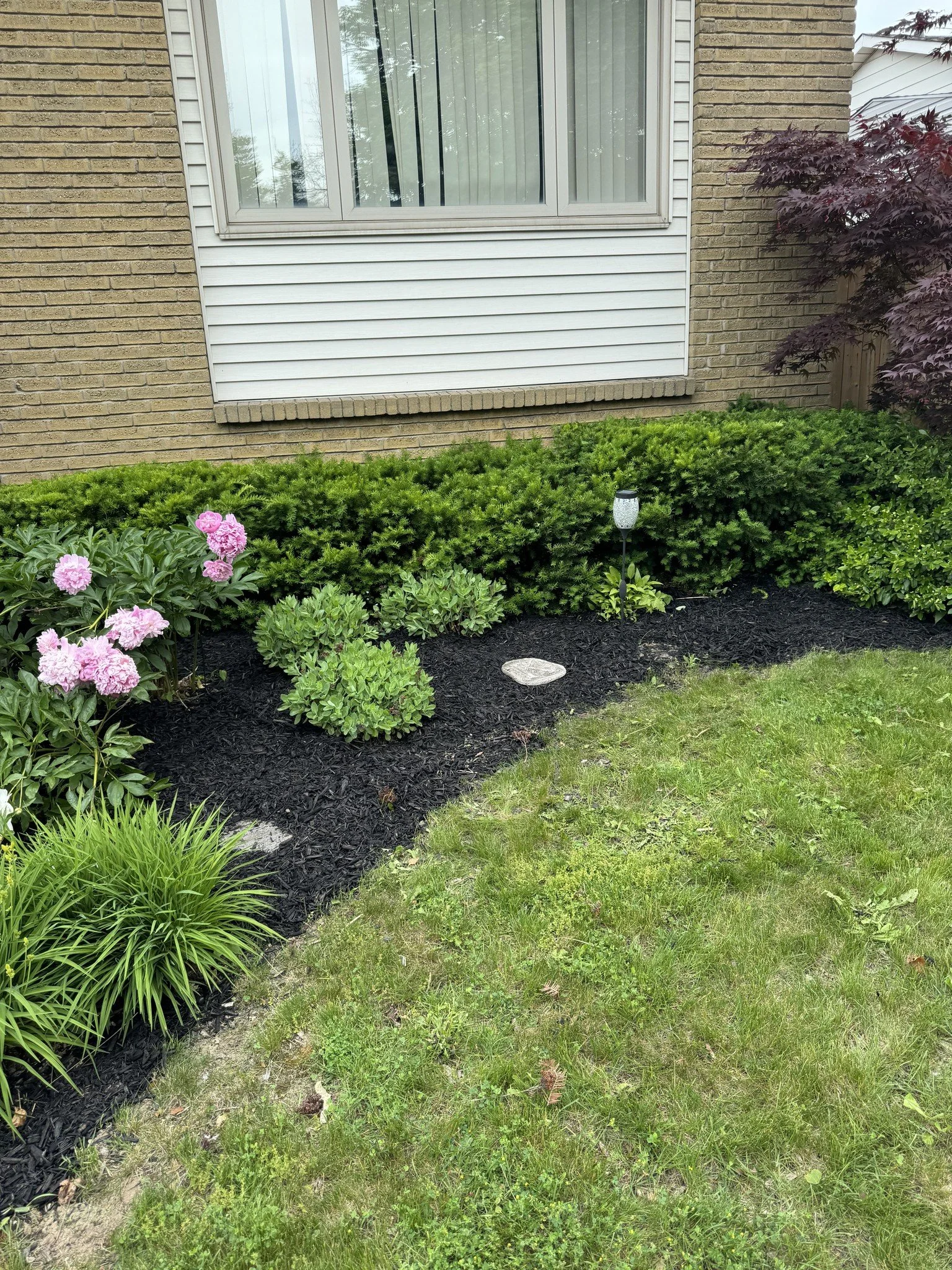A garden bed with pink peonies, green shrubs, and a garden light in front of a house with brick and white siding, and a window.