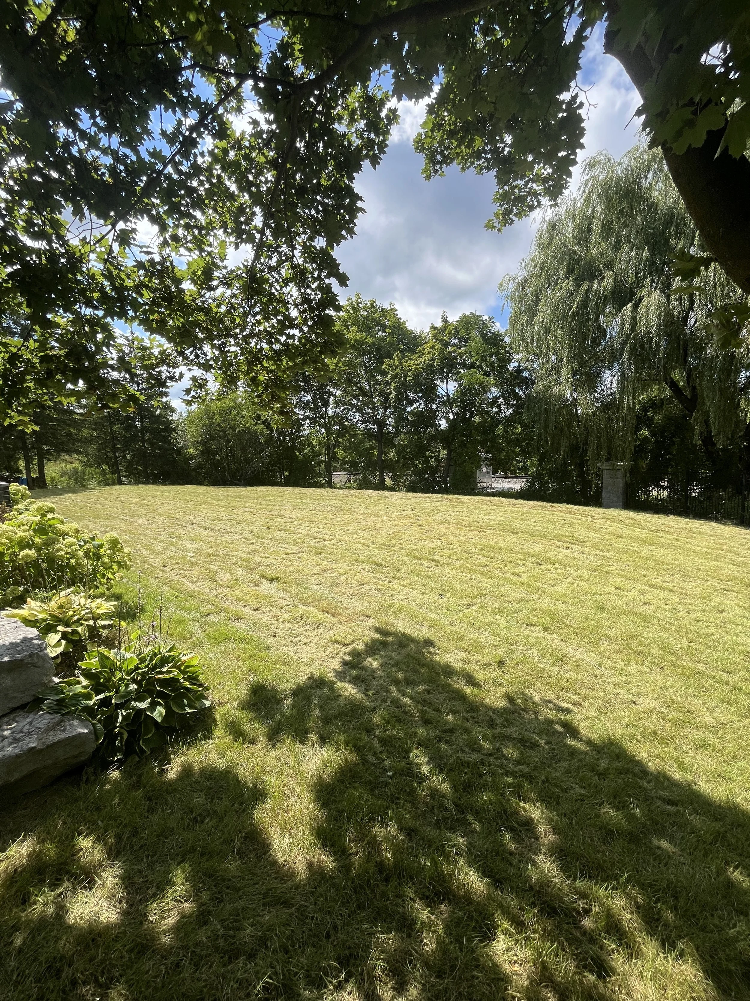 A sunny backyard scene with a grassy lawn, trees providing shade, and a partly cloudy sky in the background.