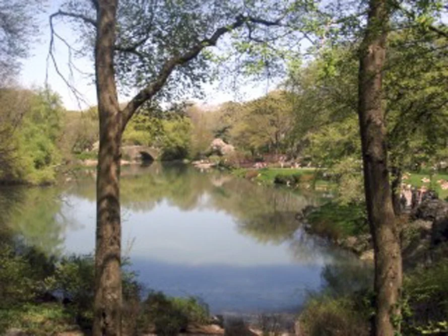 Central Park.jpg