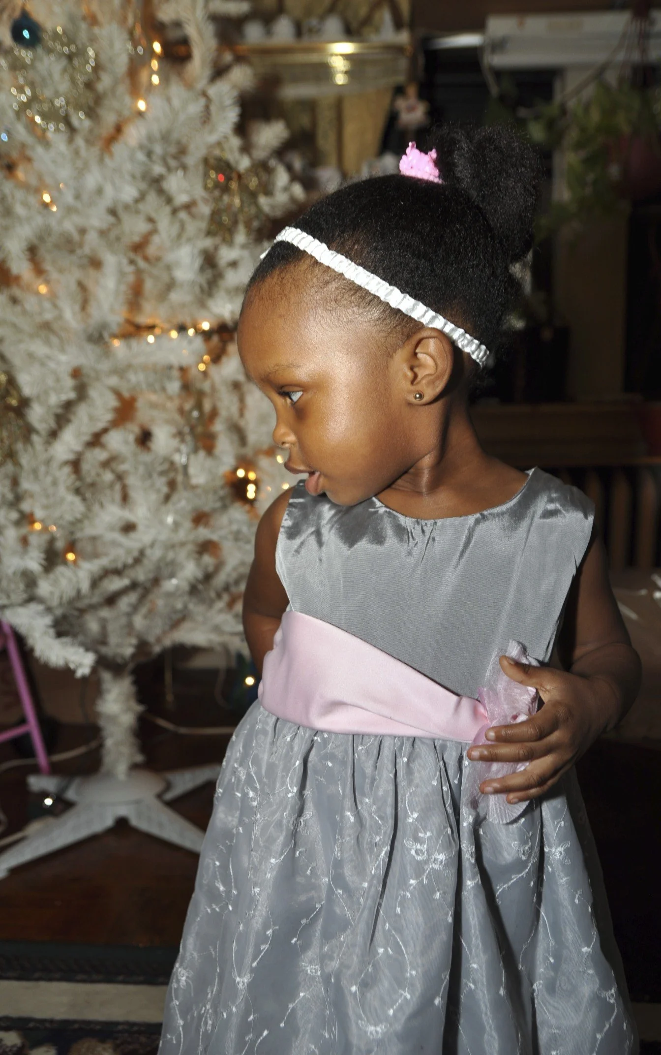 Victoria Xmas 1.jpg