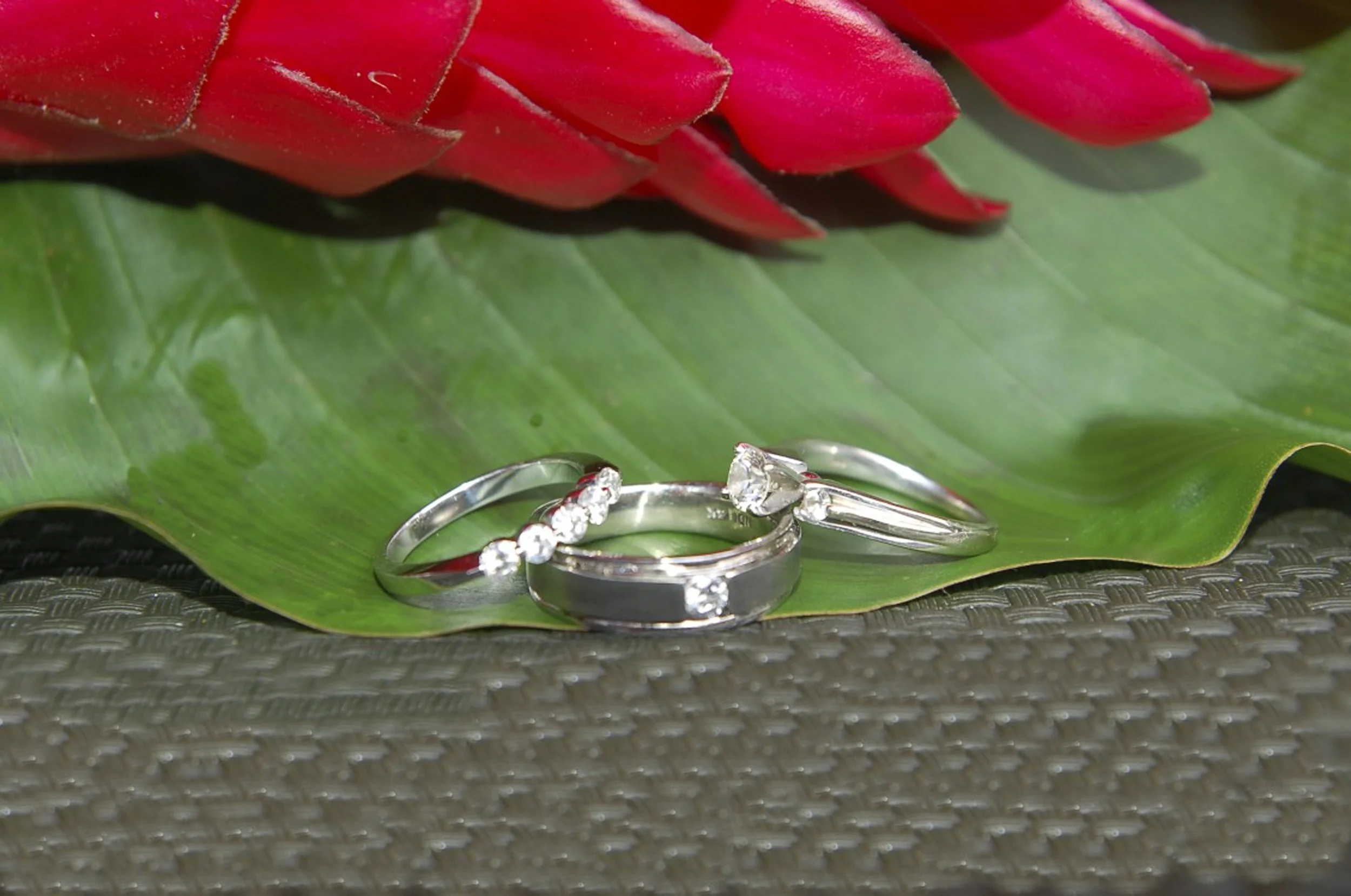 The rings.jpg