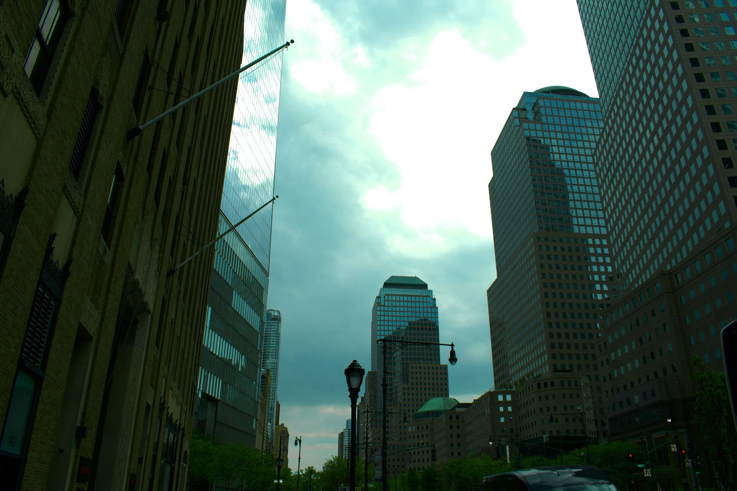 DSC_0231.jpg