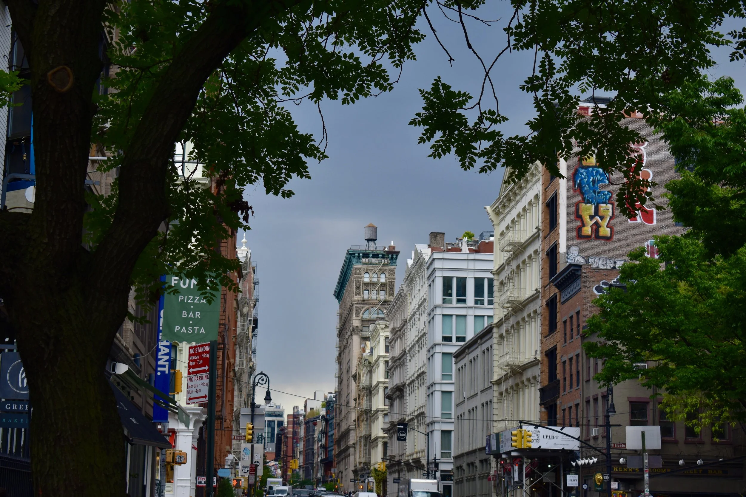 DSC_0117 2.jpg