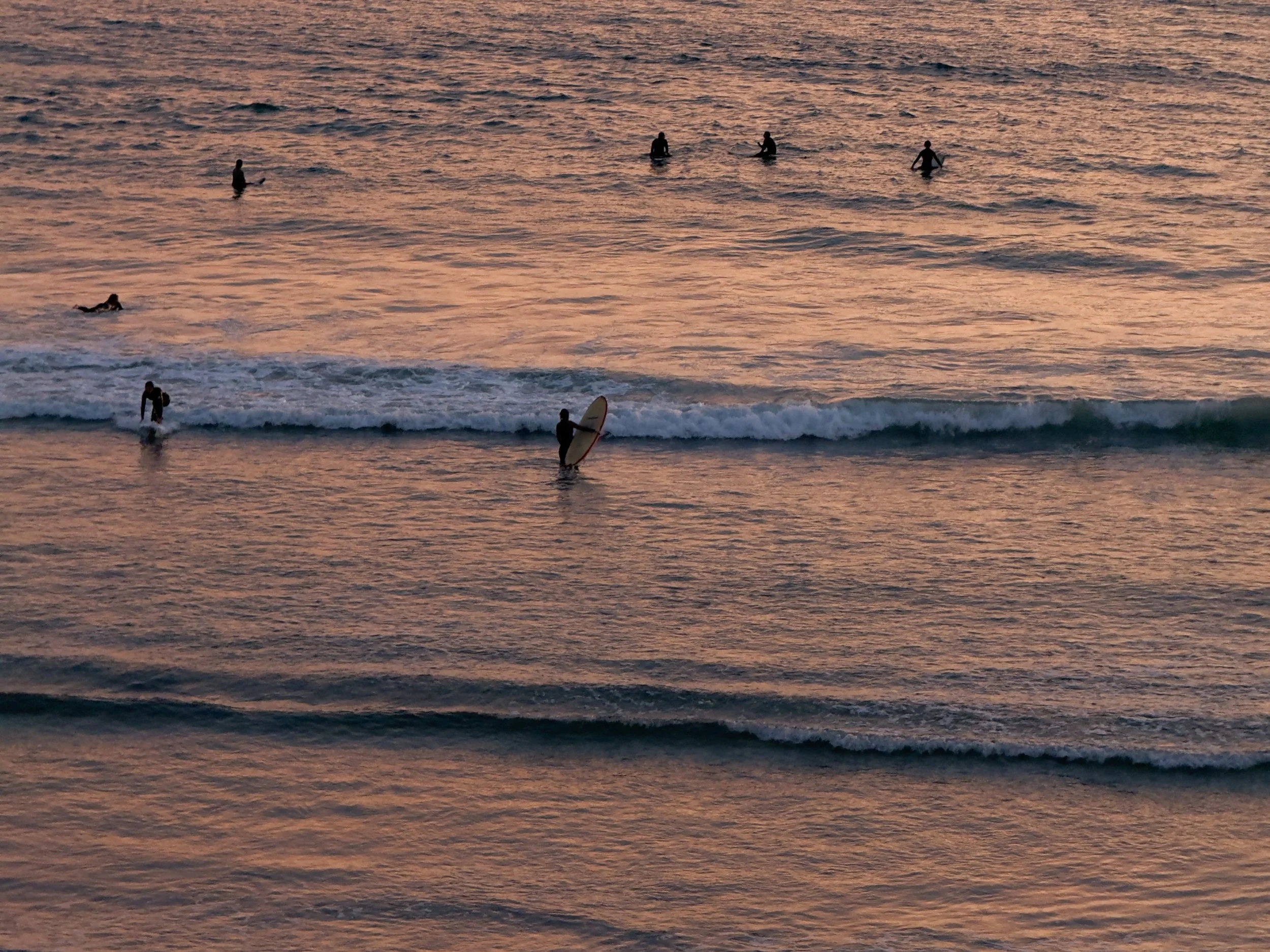 People surfing and swimming in the ocean during sunset with a pinkish sky and calm waves.