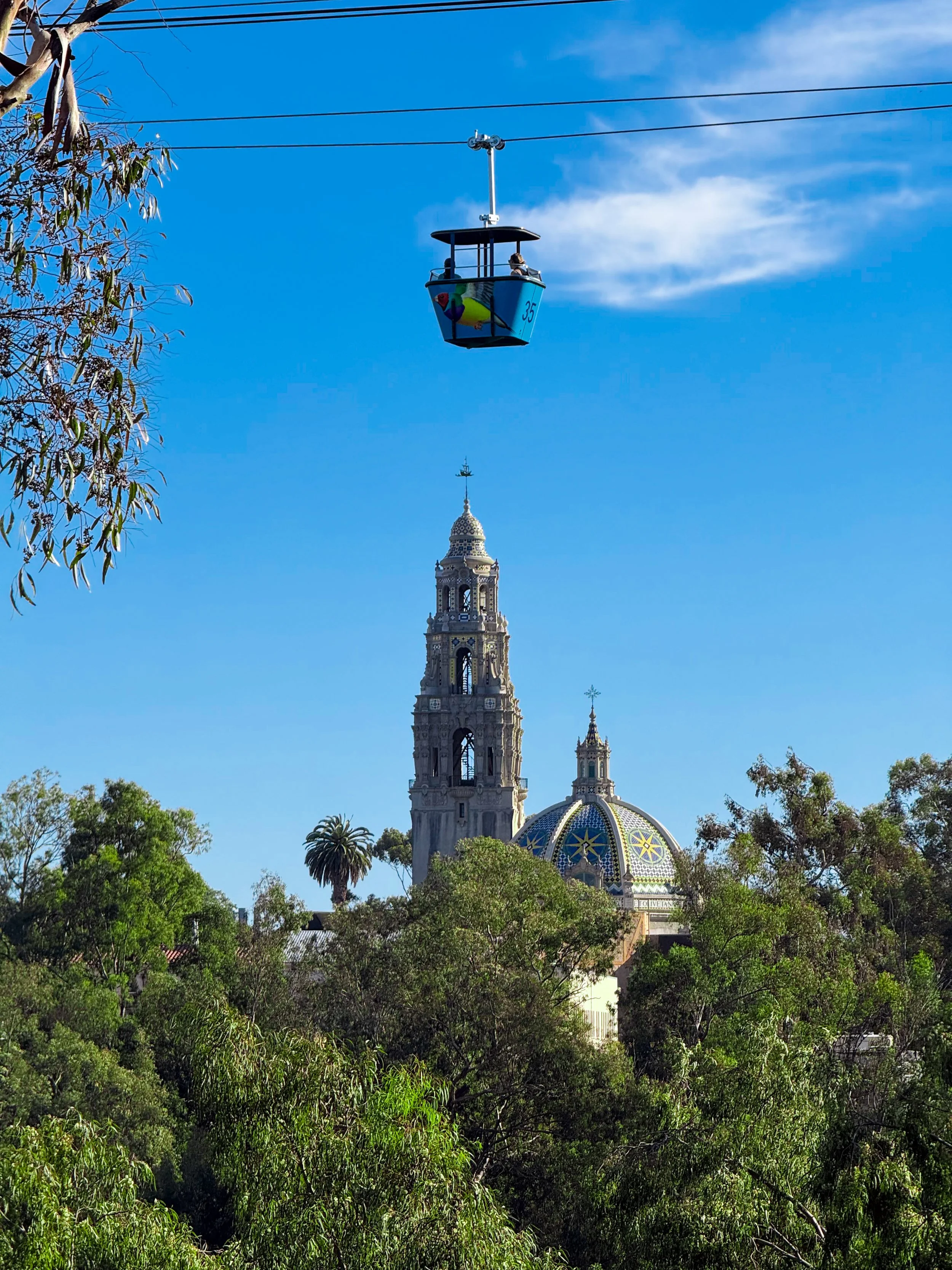 San Diego skyline with the historic California Building and trees in the foreground, and a sky tram above.