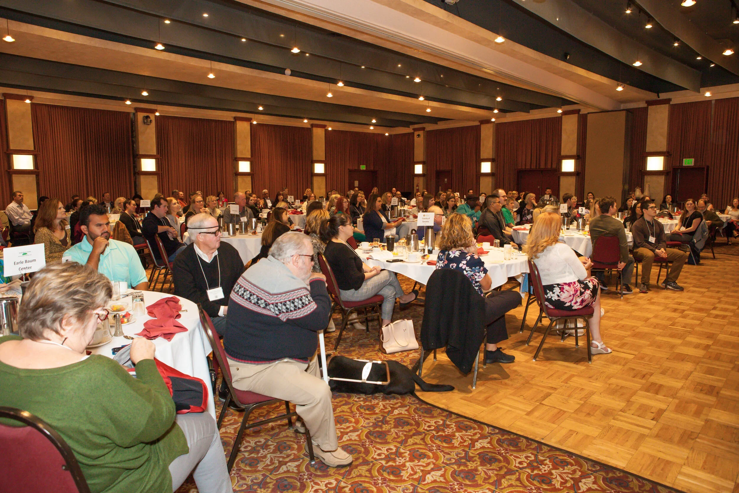 SCMC+2019+Crowd.webp