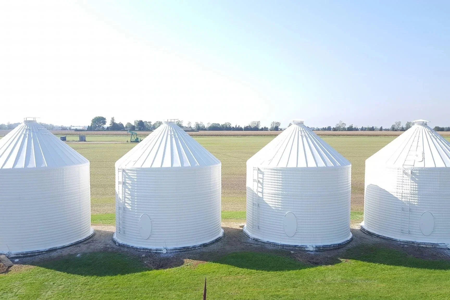 Four white grain silos with conical roofs in a row on a farm, with a green field and distant trees and equipment in the background under a clear blue sky.