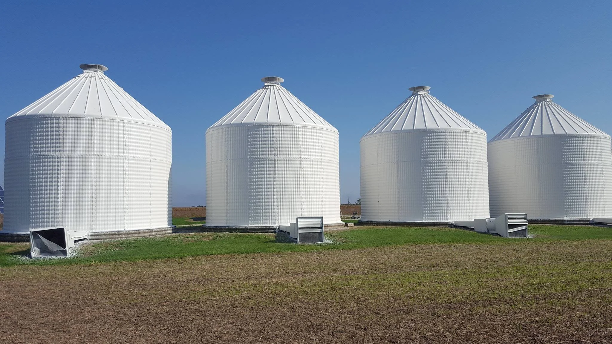 Four white grain silos with conical roofs standing side by side on a farm under a clear blue sky.