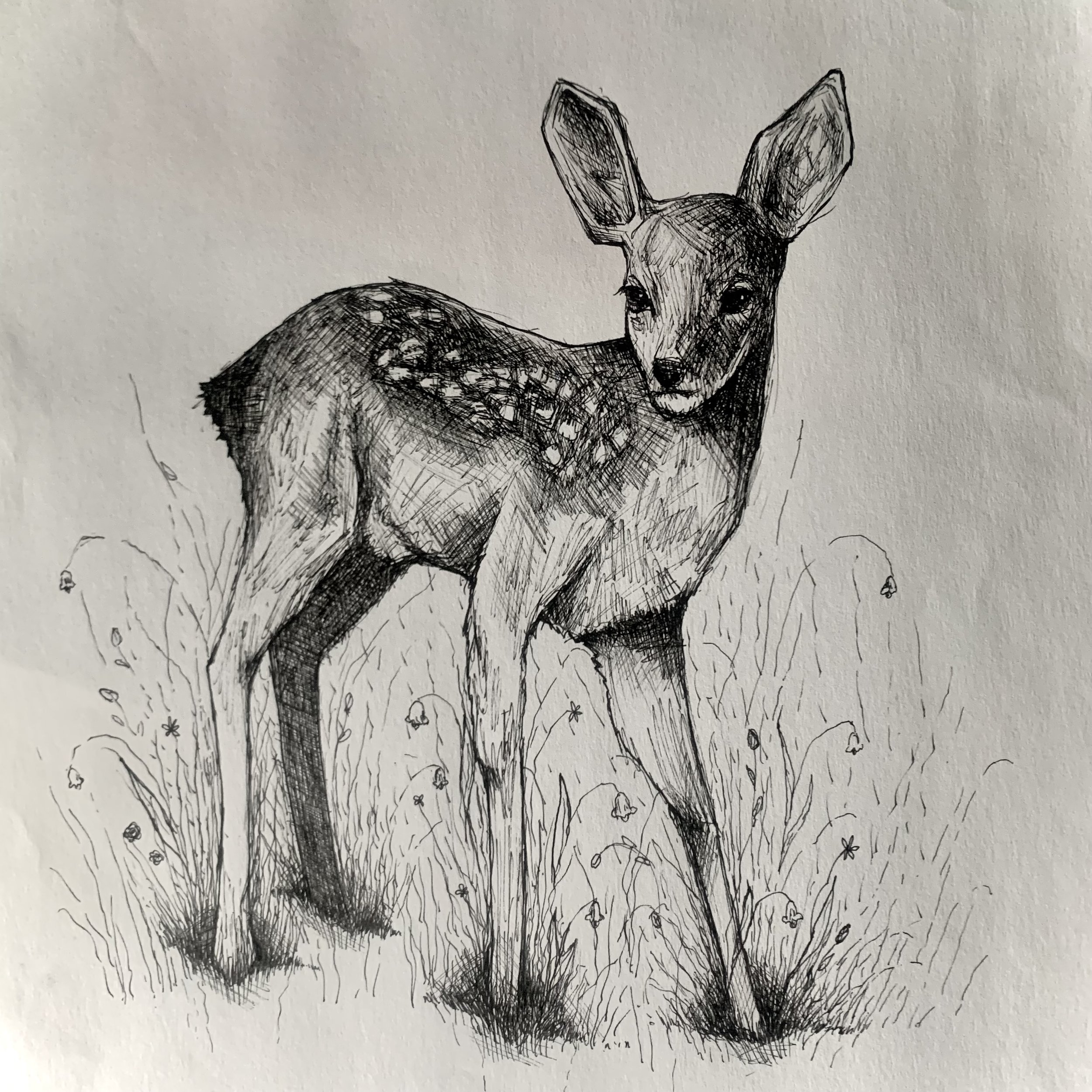 Fia, 2024. 11.5x11 in, Ink on paper