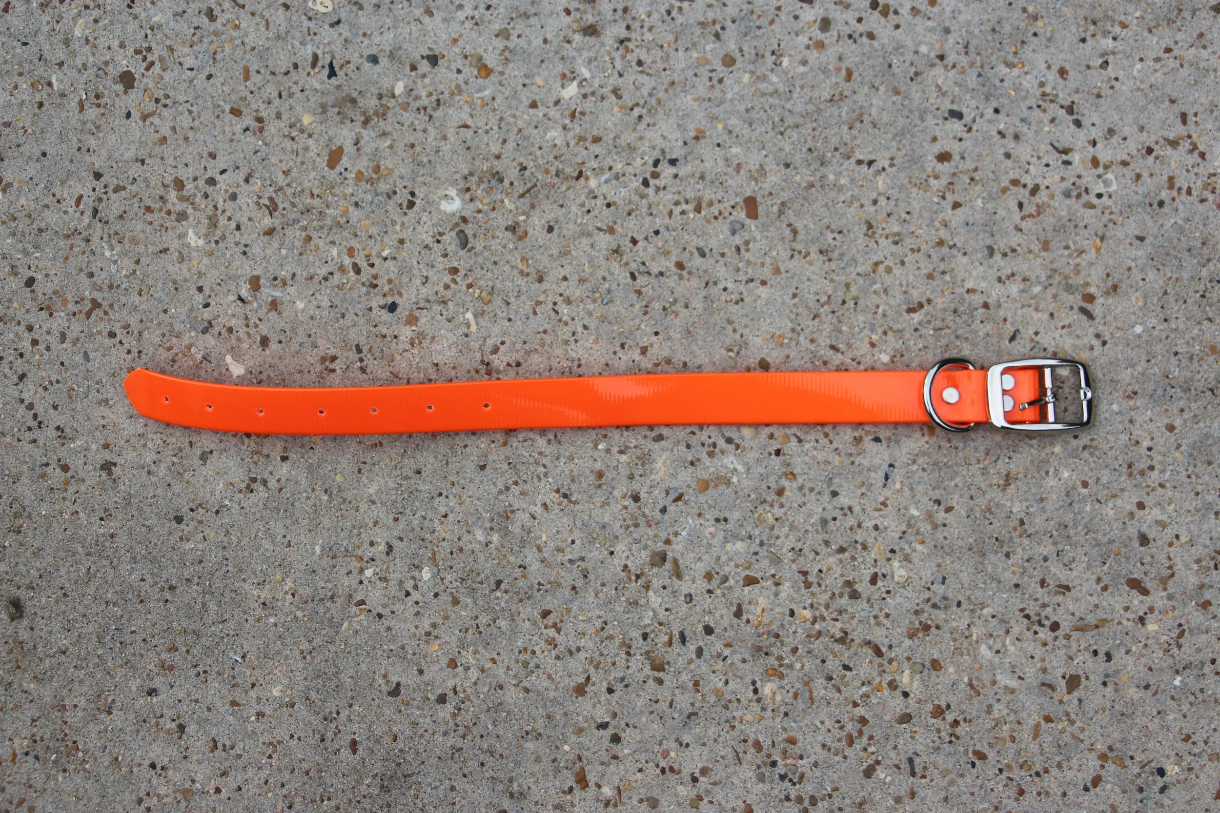 1 Inch Biothane Dog Collar