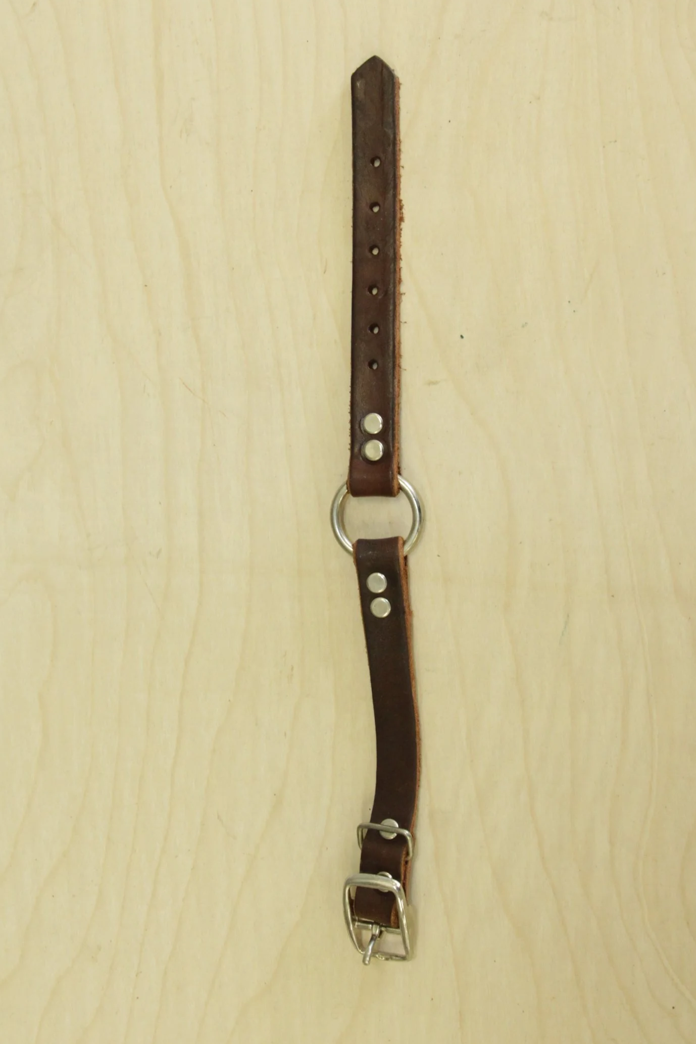 Leather 1 inch collar