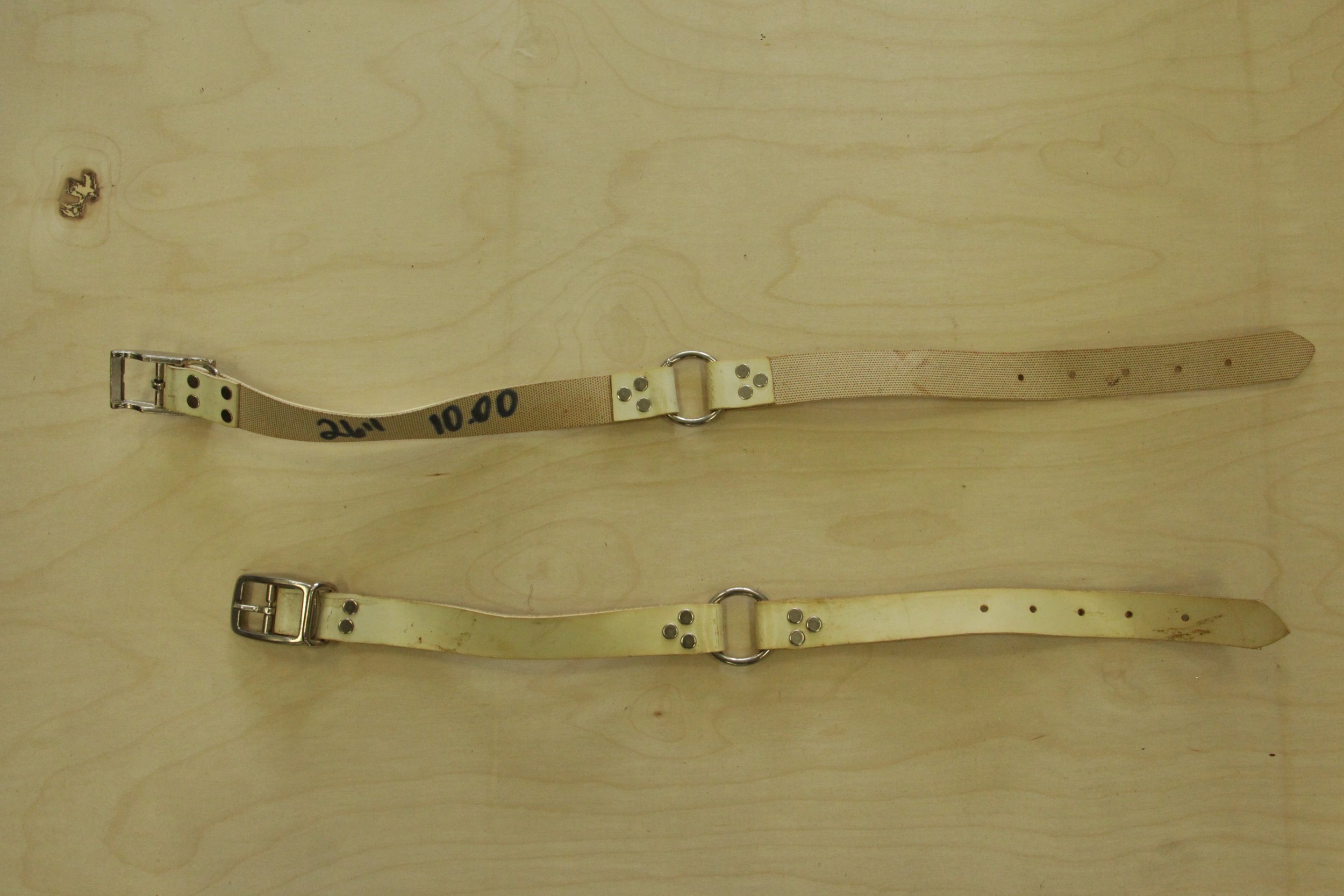 Overstock Conveyor Belt 1" Collar