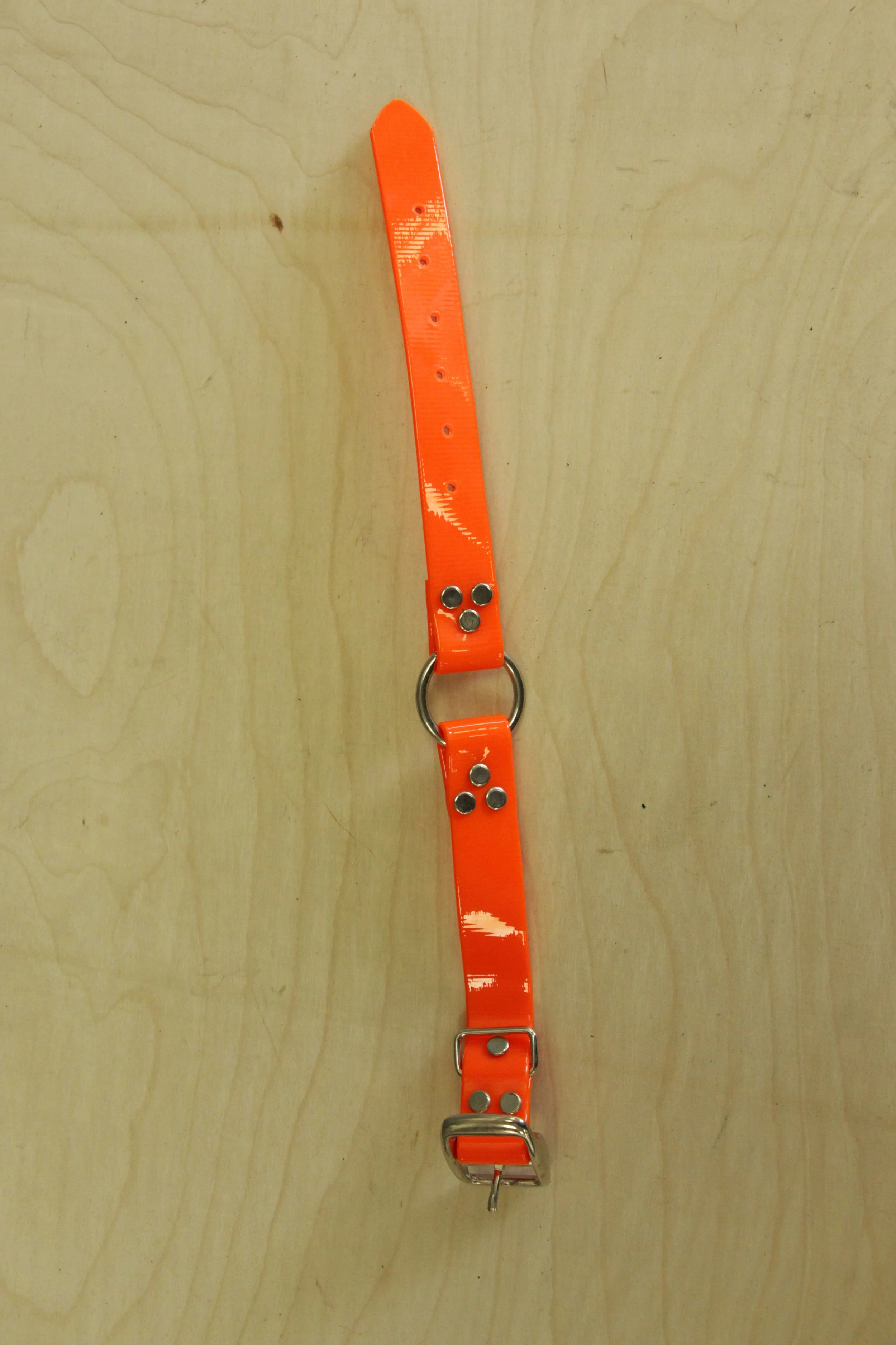 1 Inch Biothane Collar With Ring