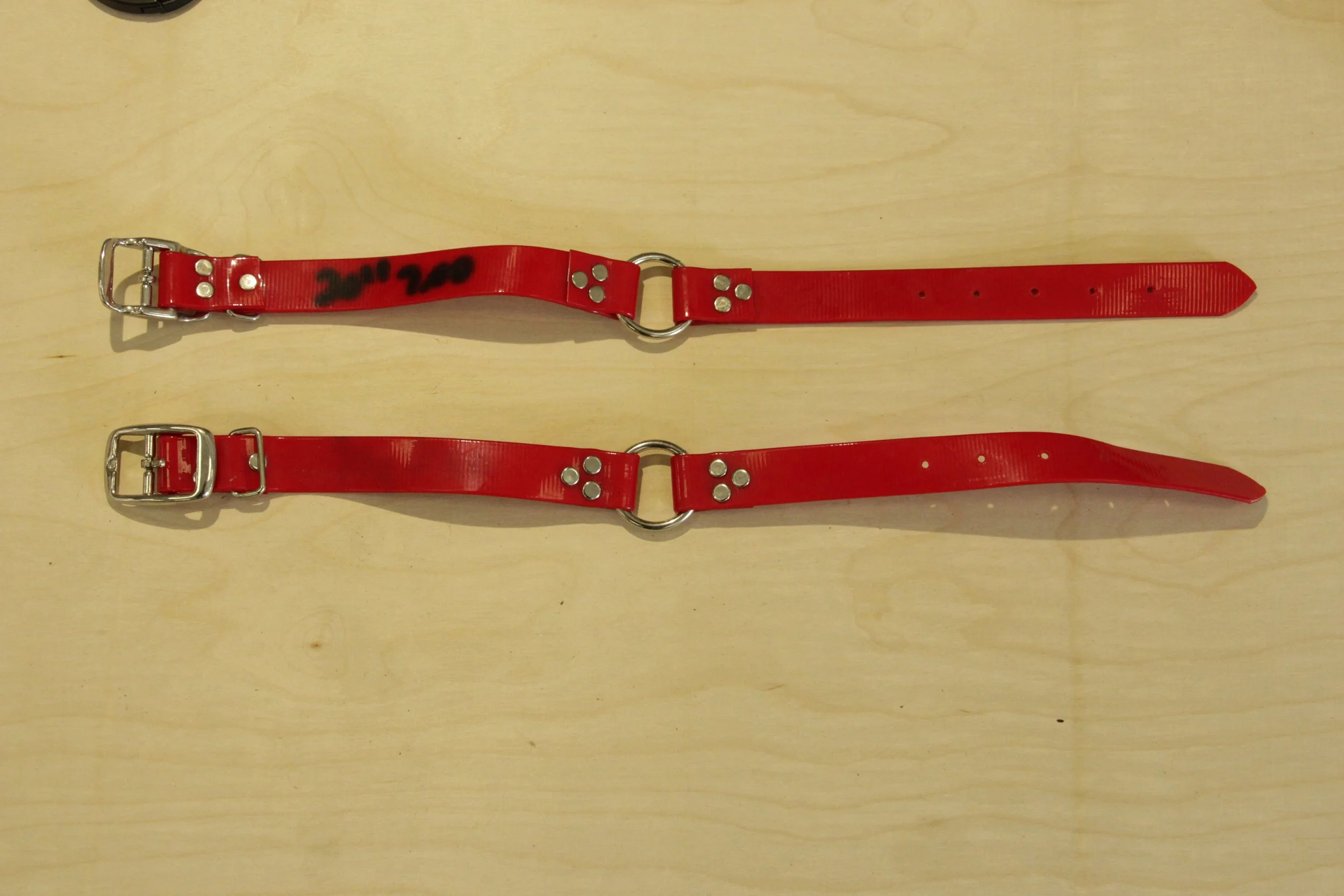 Overstock Red Biothane 1" Collar 20"