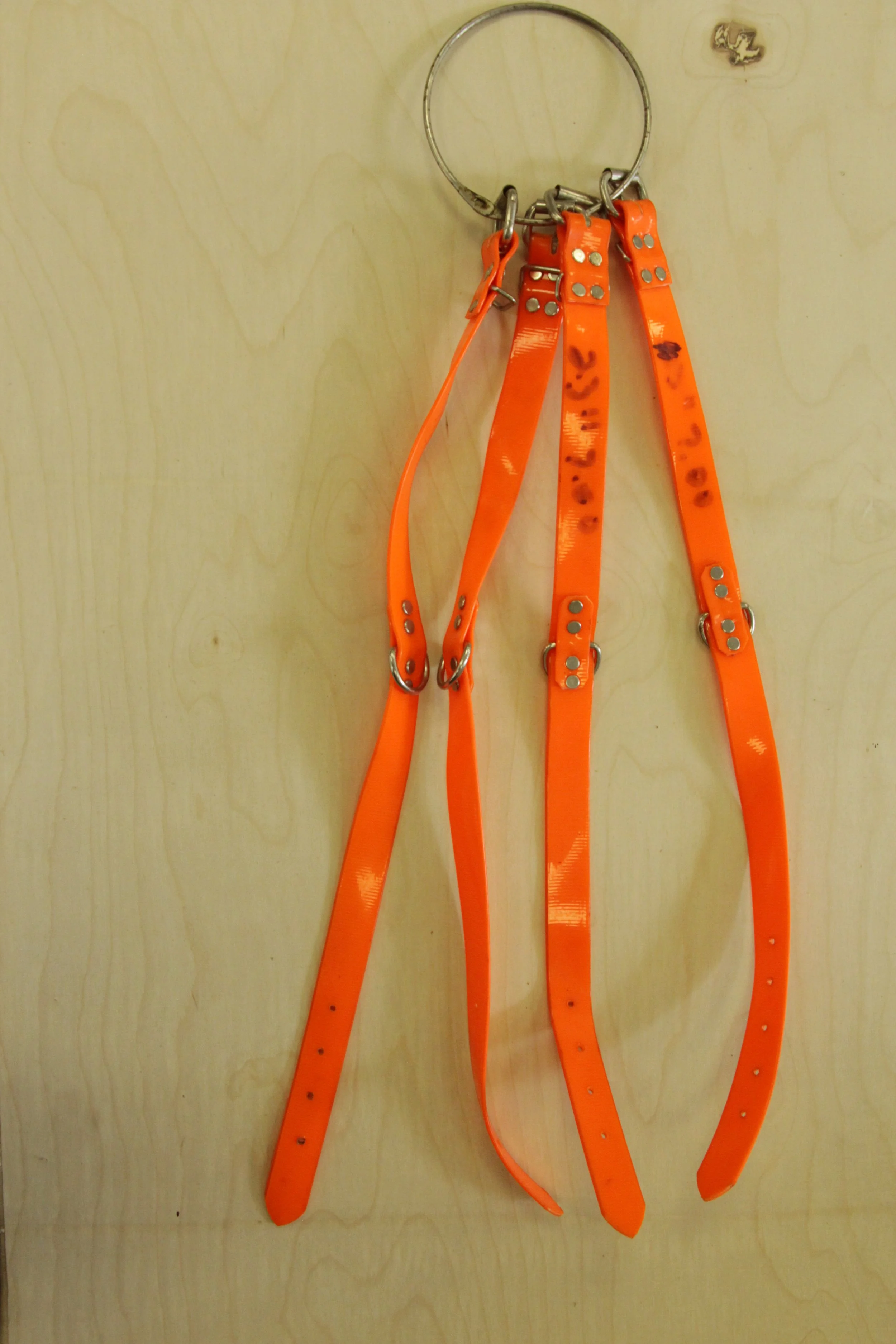 Overstock Orange 1 inch Biothane Collar