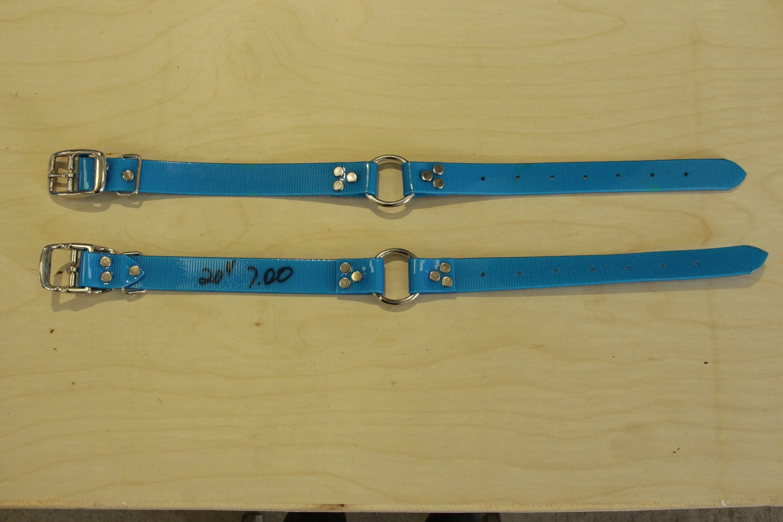 Overstock Blue 1" Biothane Collar 20"