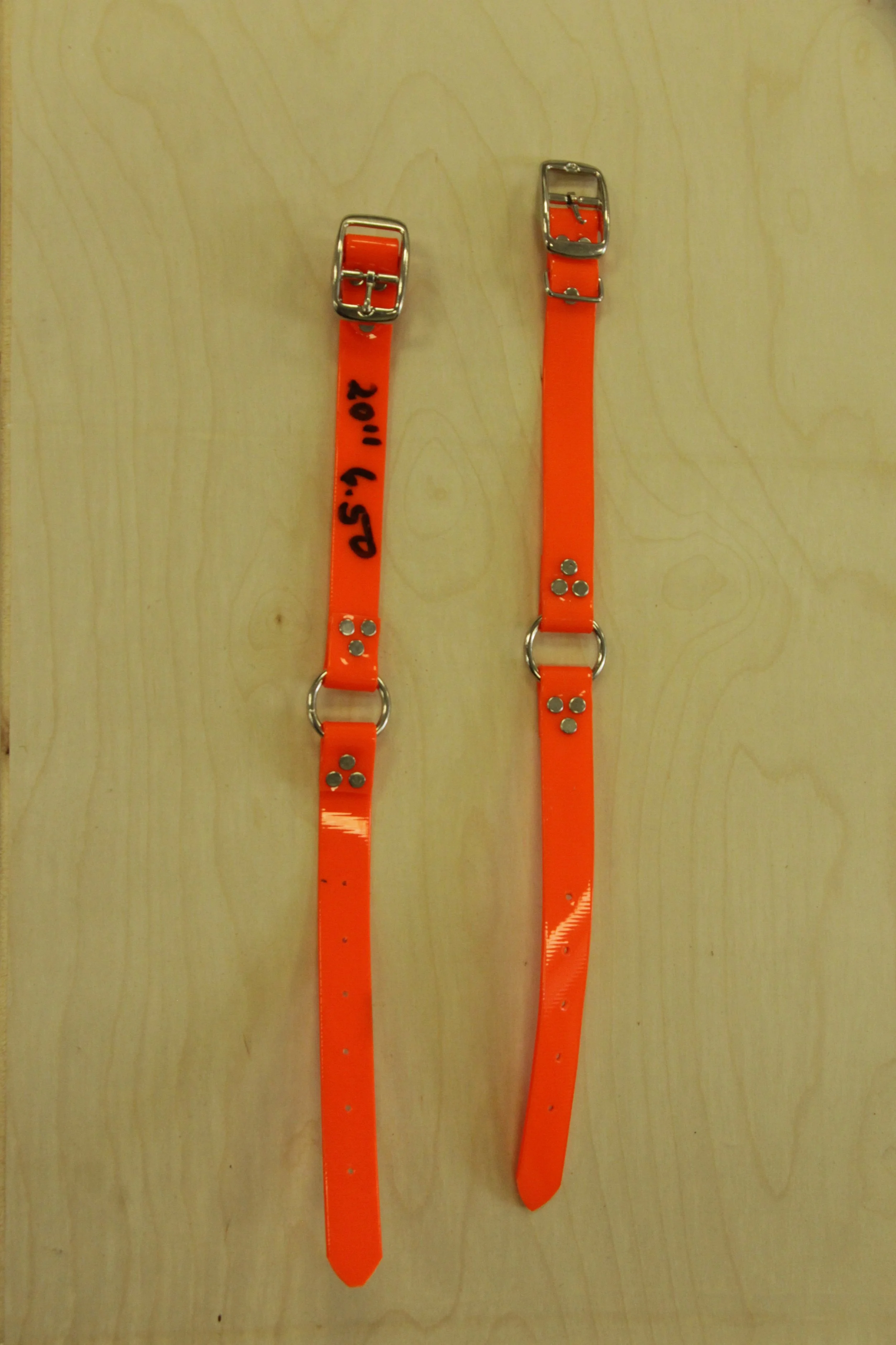 Overstock Orange Biothane Collar with ring