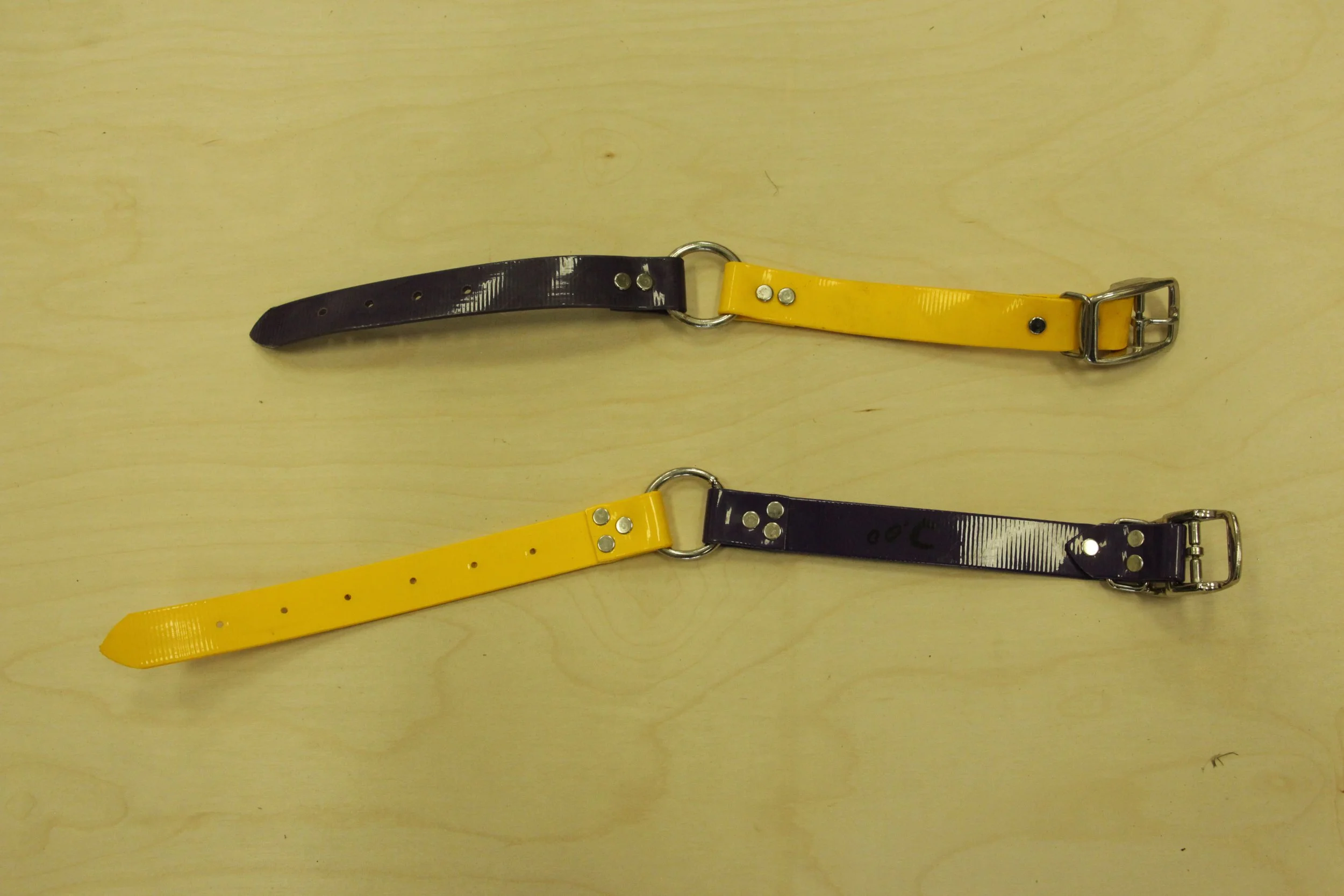Overstock Purple and Yellow 1 inch Biothane collar