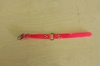 pink.JPG