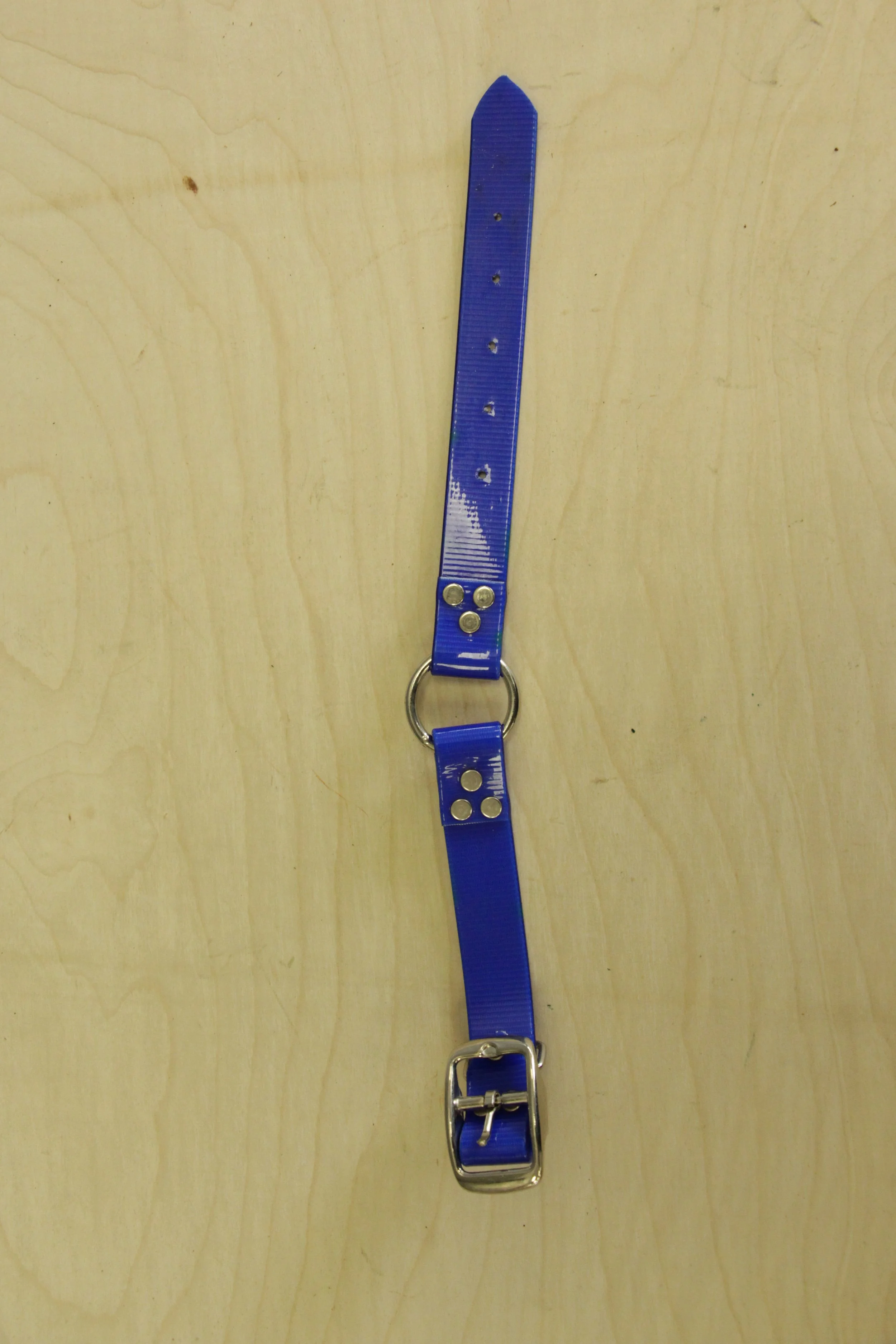 3/4 Inch Biothane Collar
