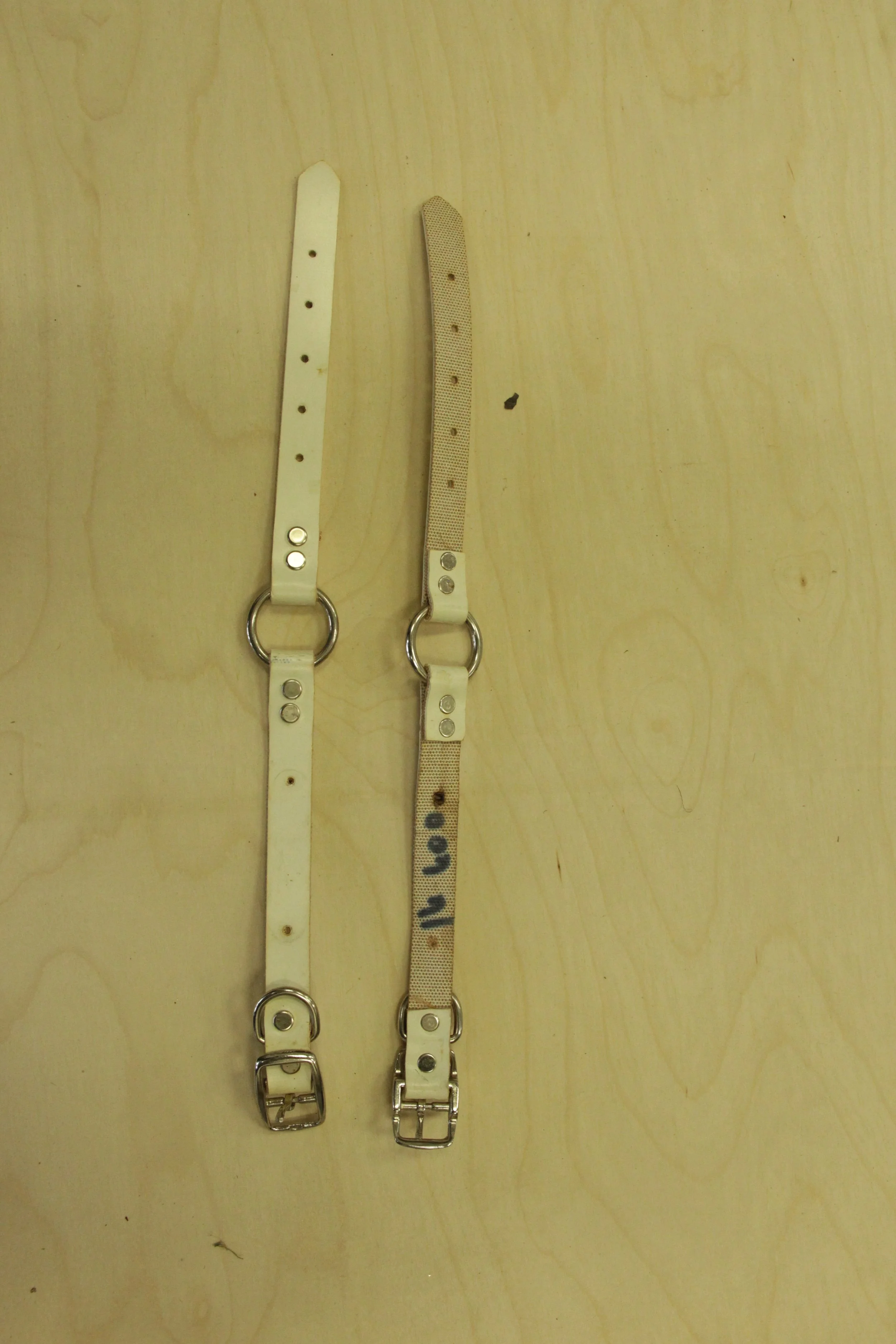 Overstock Conveyor Belt Collar 3/4 inch