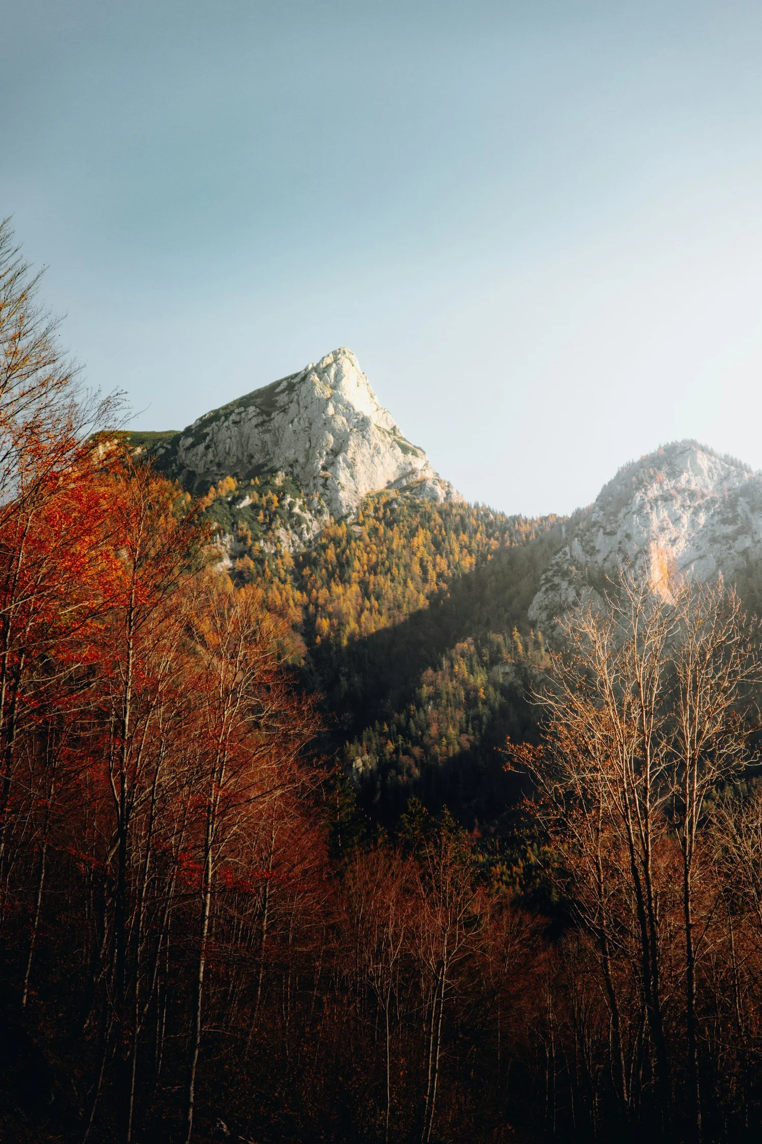 An autumn trail through the trees
