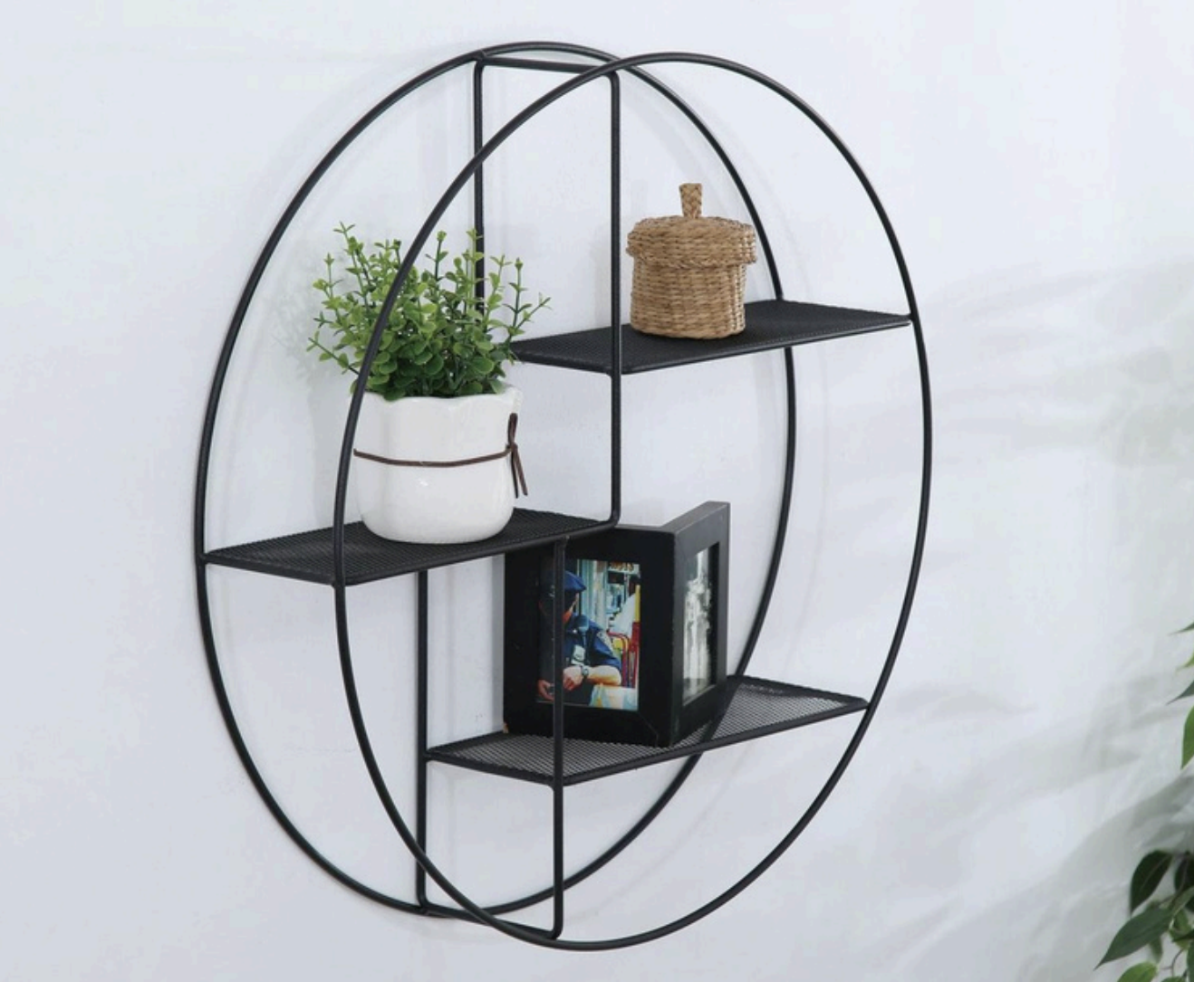 Round Shelf.png