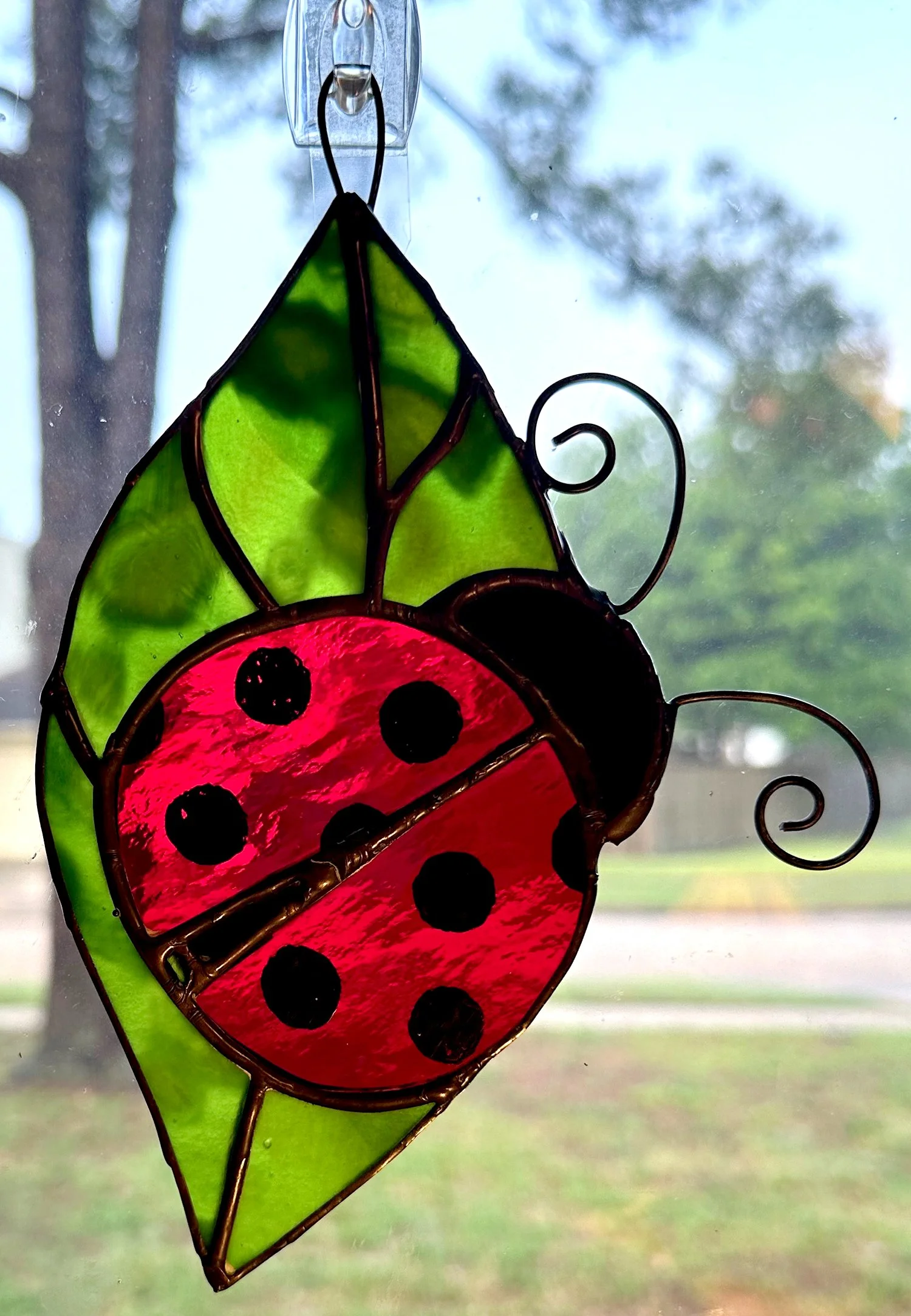 ladybug.jpg