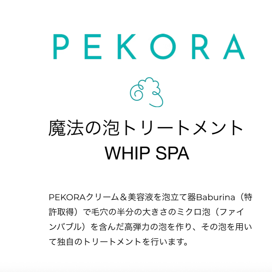 「ブリスベンで学ぶ、日本本部の直系スキル」