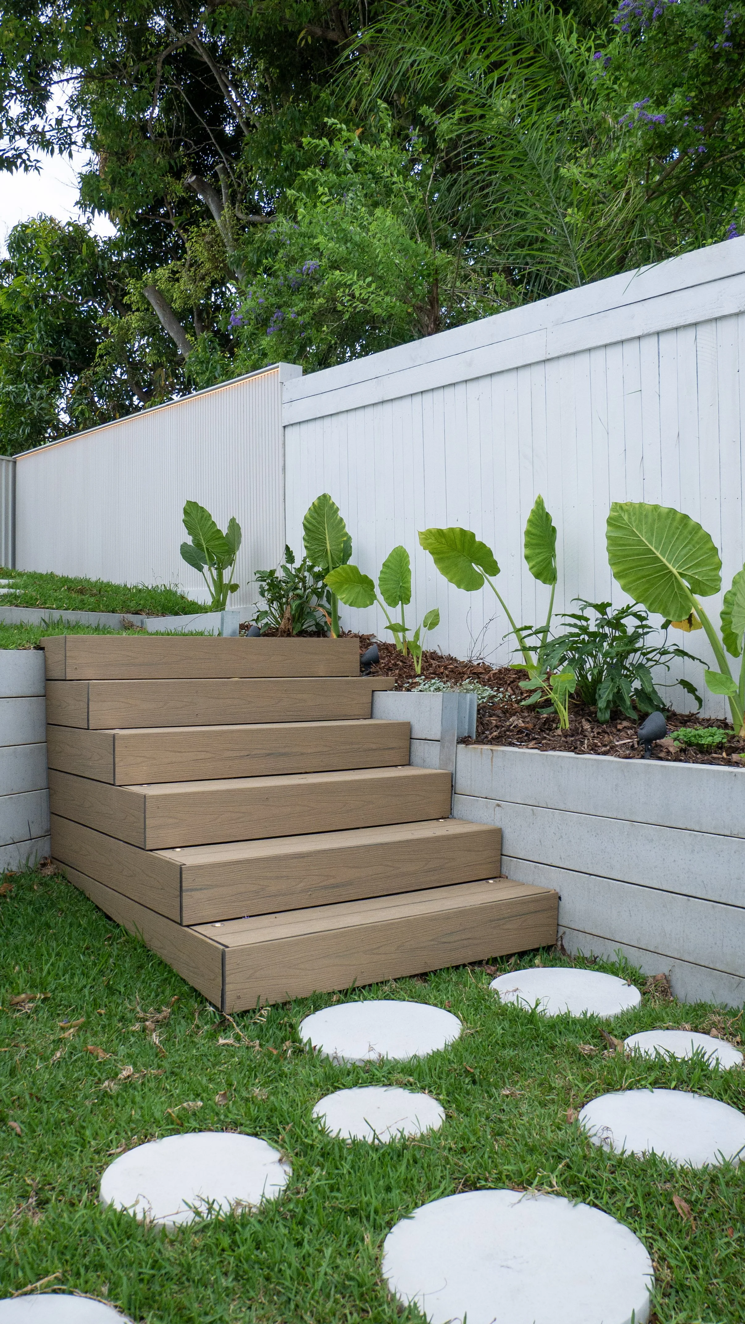 Wooden stairs leading up to a grassy backyard with a concrete retaining wall and plants, including large-leafed greenery, in front of a white fence with trees and purple flowers in the background.