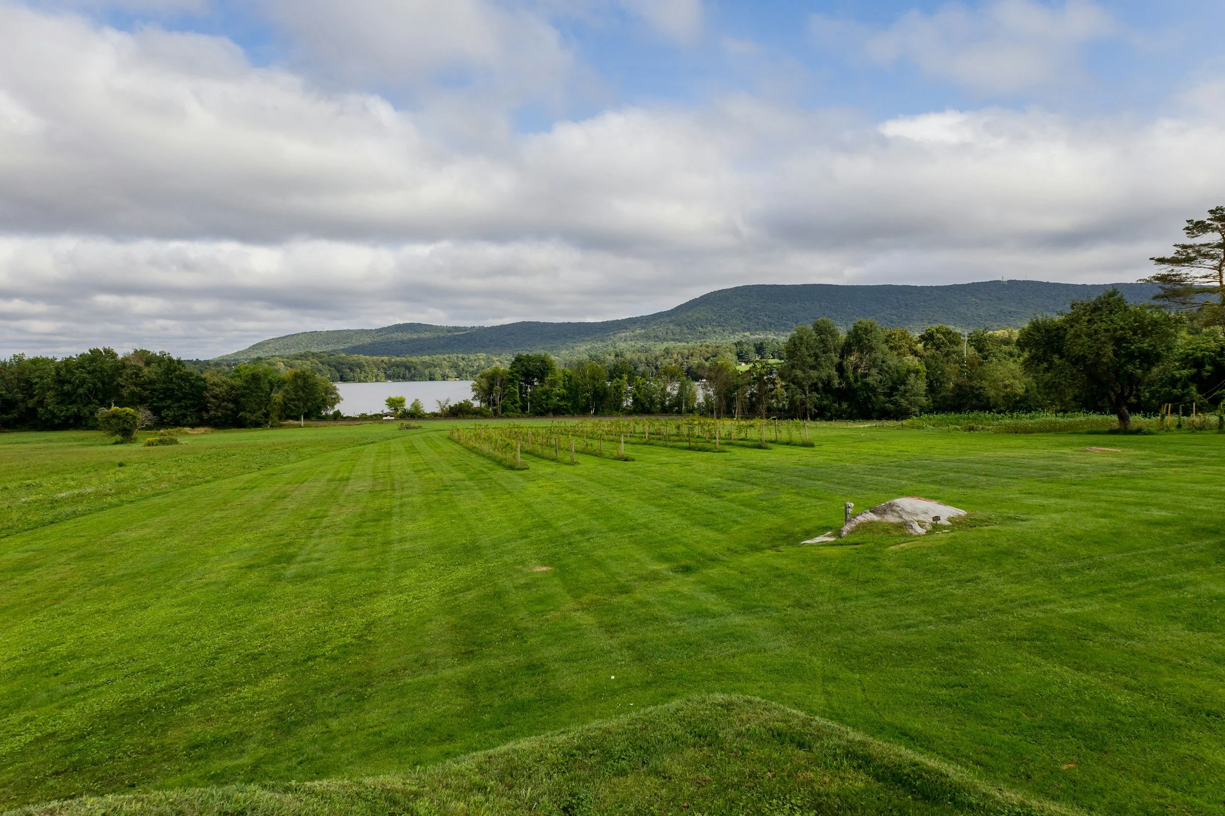A lush green lawn with rows of plants, a lake, and forested hills in the background under a mostly cloudy sky.