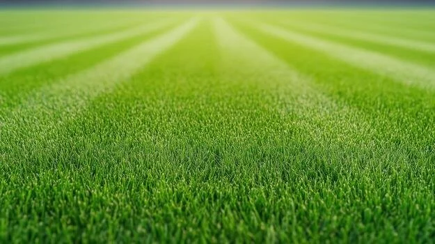 A lush green sports field or grass lawn with yard lines