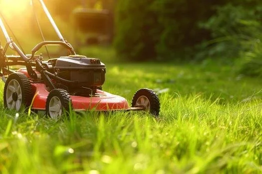 Lawn Mowing