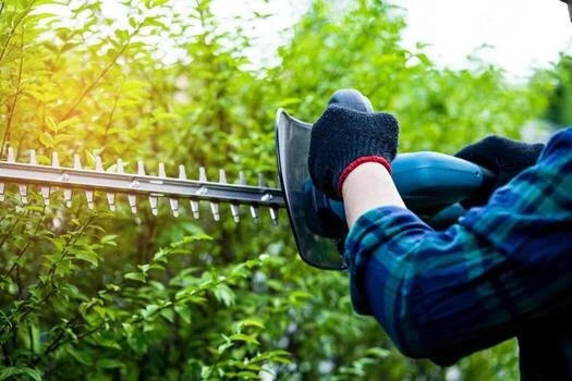 Garden Clean Up