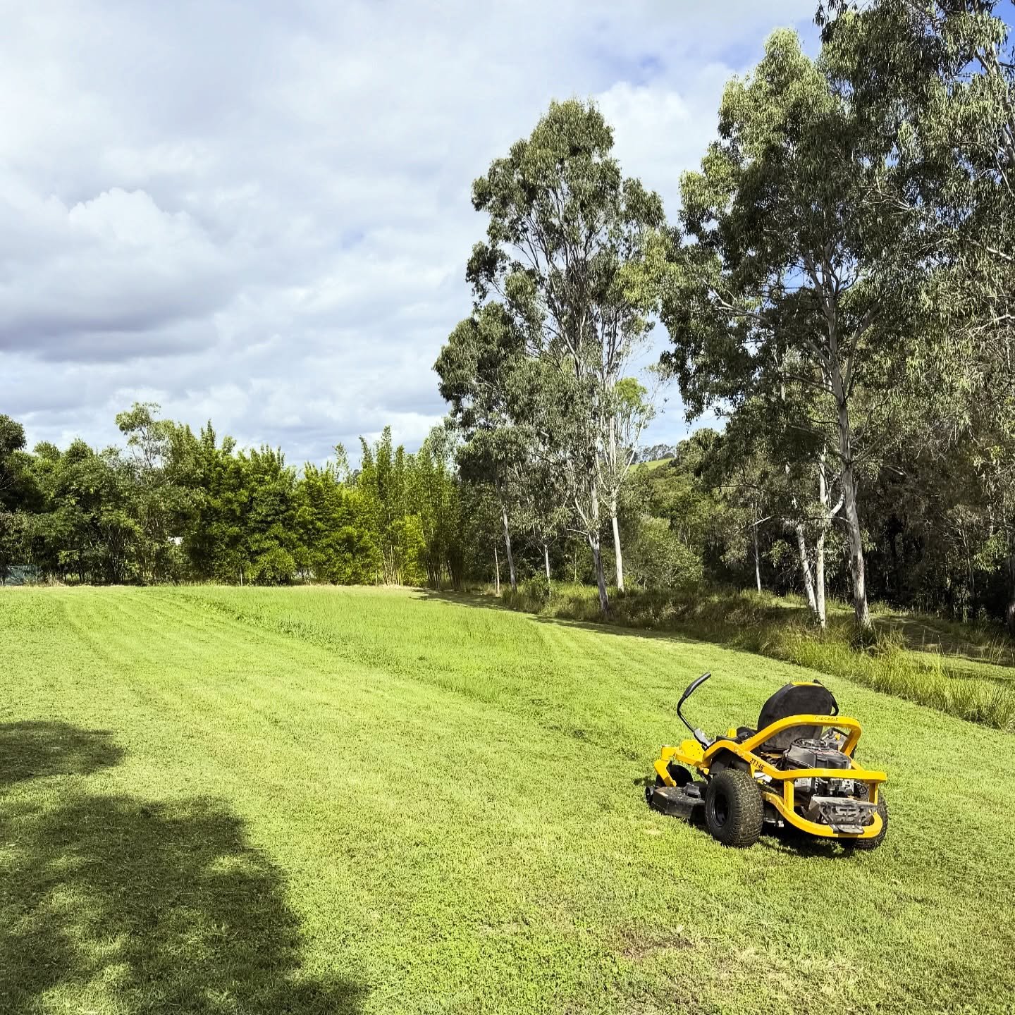 A yellow lawn mower on freshly cut grass near a line of tall trees under a partly cloudy sky.