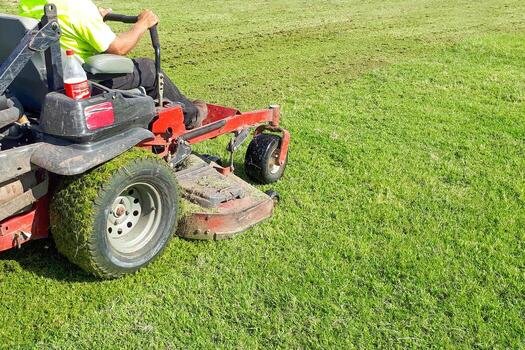 Lawn mower cutting grass on a green lawn.