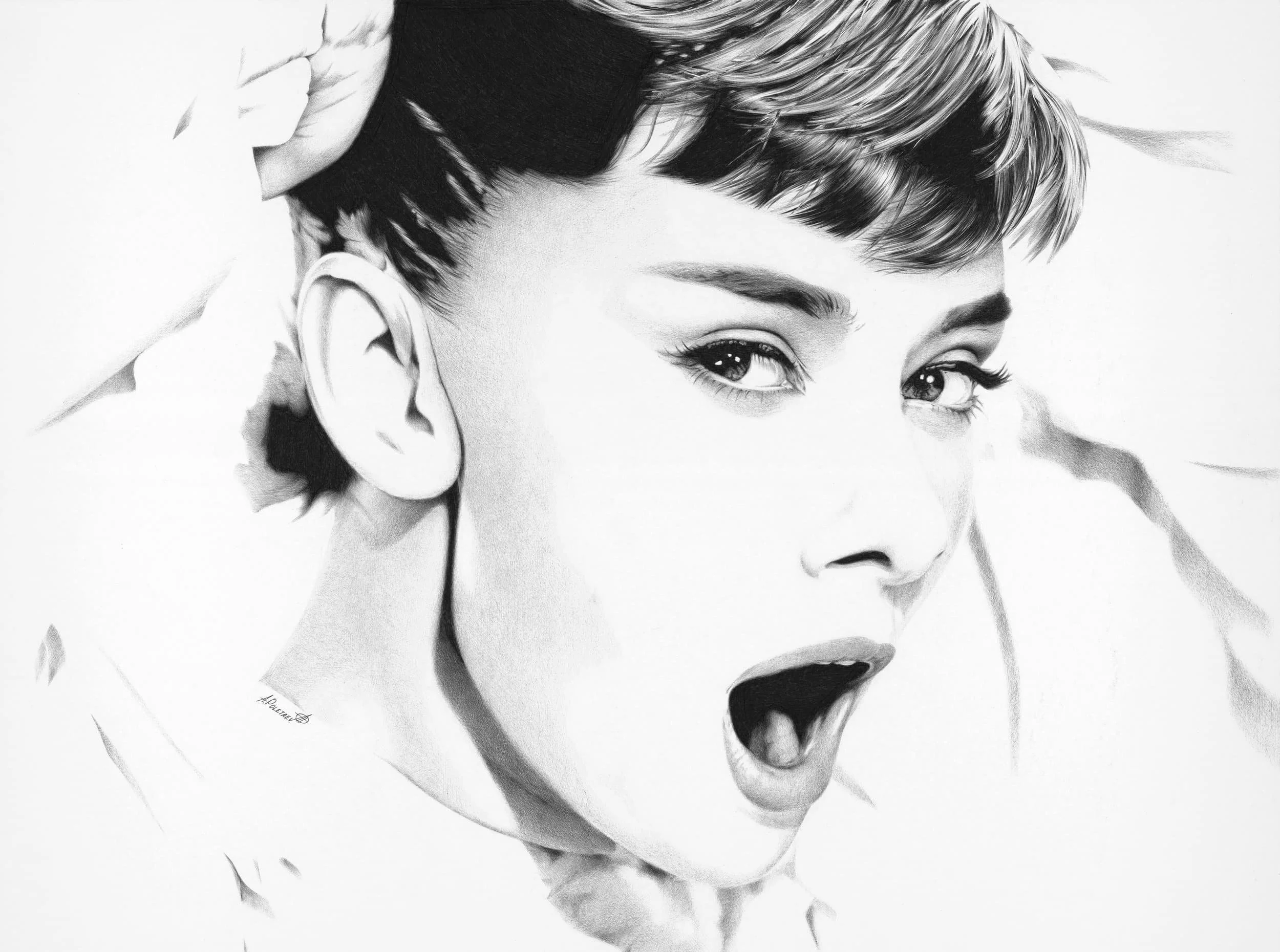 Audrey Hepburn — Holly Golightly
Ballpoint pen and mixed techniques | 28" × 21" | 2017 | Available
An intimate close-up study of Hollywood's most beloved icon. Every eyelash, every expression line — rendered in extraordinary detail.