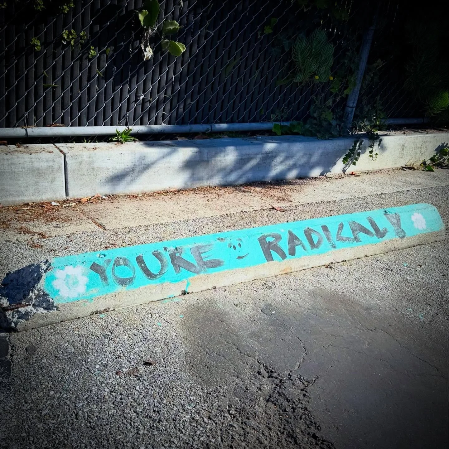 🐪Happy Humpday Everyone!🐪

Stay tuned for information on our next cleanup coming up on March 21st.  We can&rsquo;t wait to see all you radical guys and gals again soon!

#wednesday #humpday #keepveniceclean #cleanup #veniceca