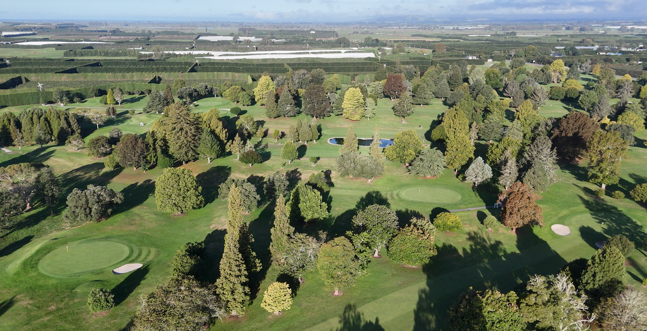 Te Puke Golf Course in Late March.png