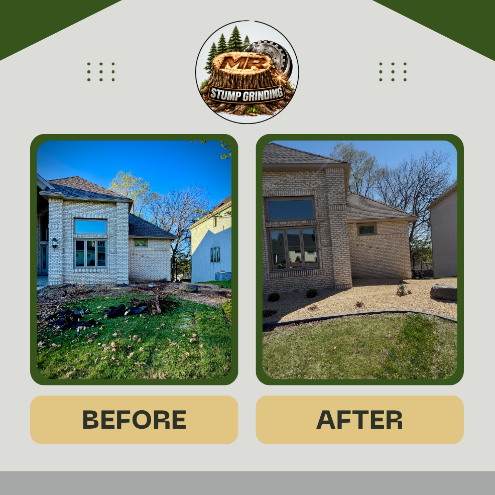 Dark+Green+Modern+House+Before+After+Facebook+Post.png