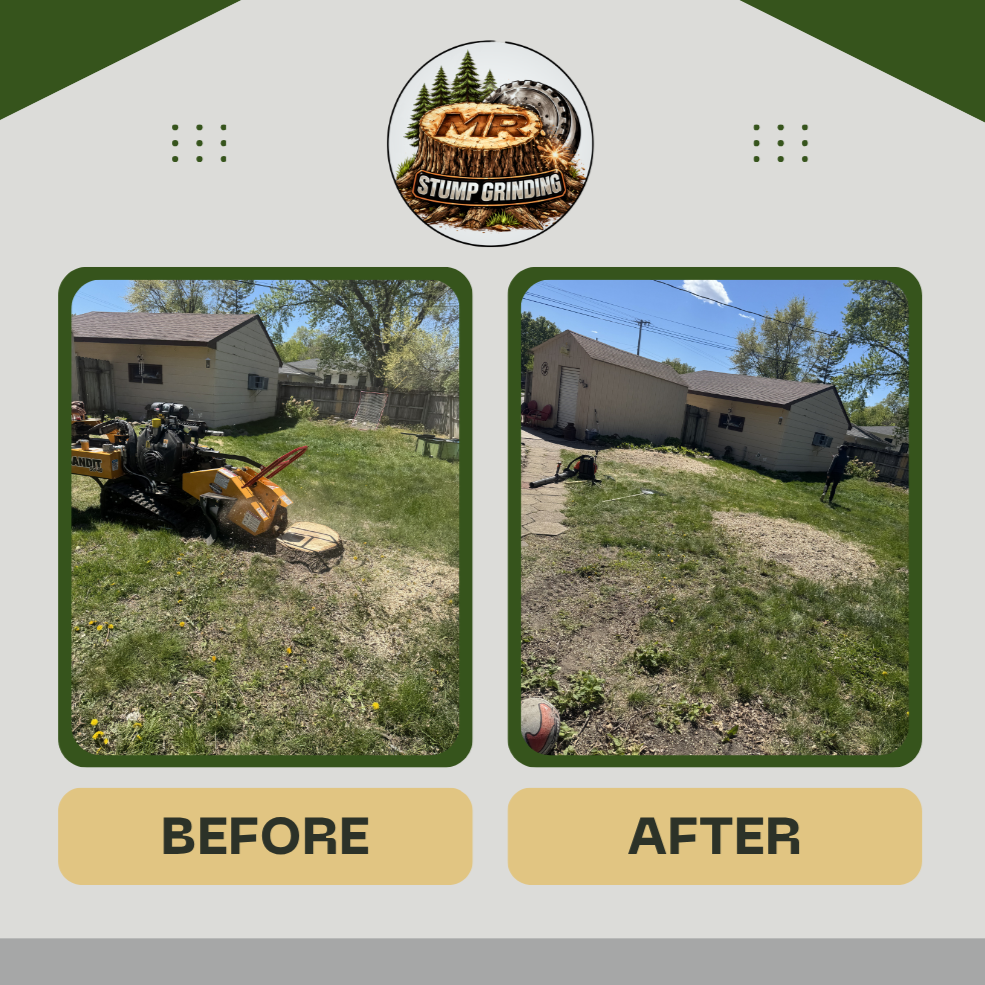 Dark+Green+Modern+House+Before+After+Facebook+Post+%281%29.png