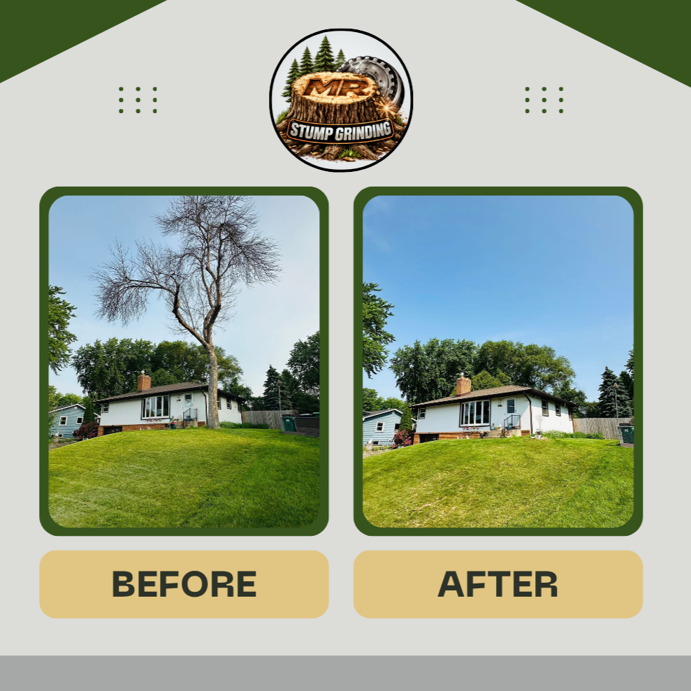 Dark+Green+Modern+House+Before+After+Facebook+Post+%283%29.png
